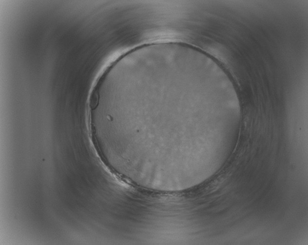 X0000067351472200604211949