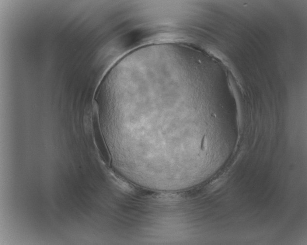 X0000067351473200604211949