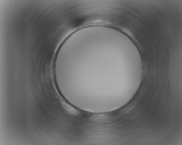 X0000067351474200604211949