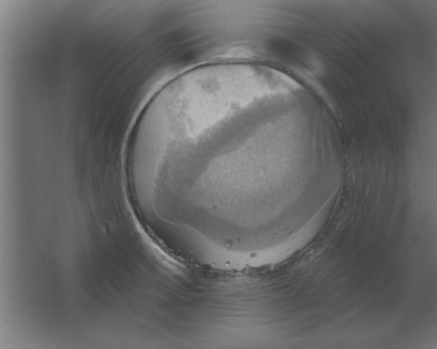 X0000067351475200604211949