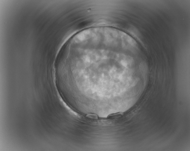 X0000067351476200604211949