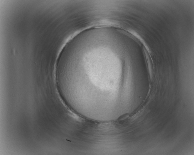 X0000067351477200604211949