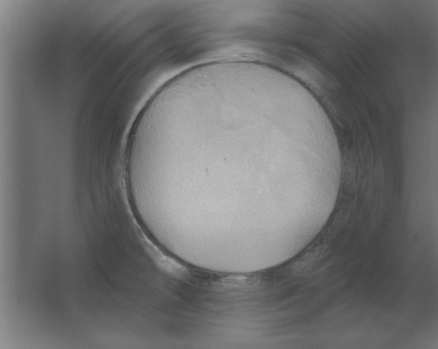 X0000067351478200604211949