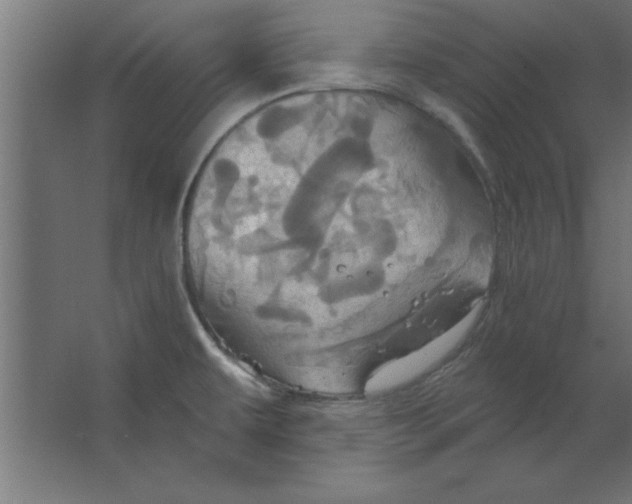 X0000067351479200604211949