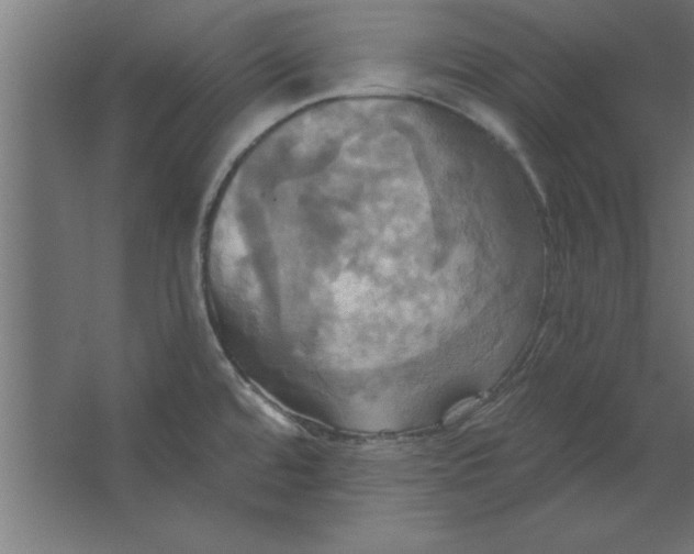 X0000067351480200604211949