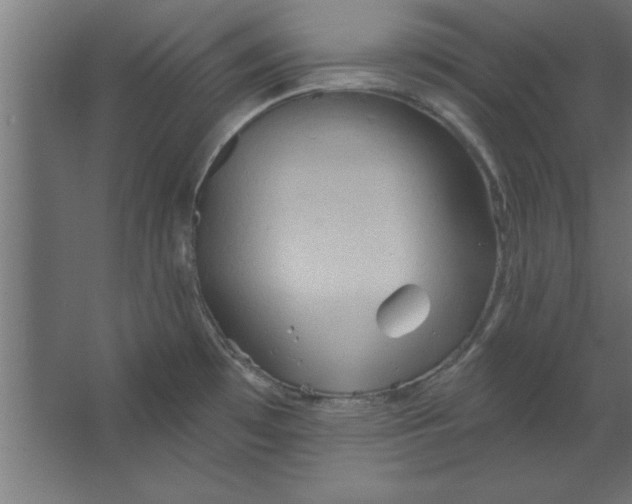 X0000067351481200604211949