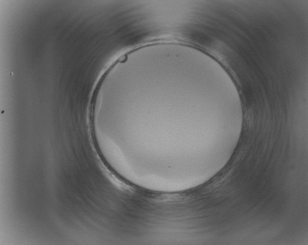 X0000067351482200604211948