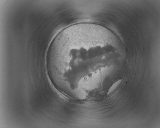 X0000067351483200604211948