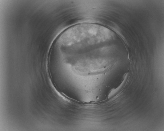 X0000067351484200604211948