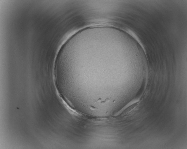 X0000067351485200604211948