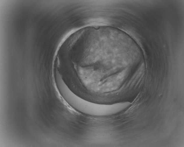 X0000067351488200604211948