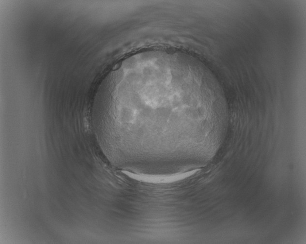 X0000067351490200604211948