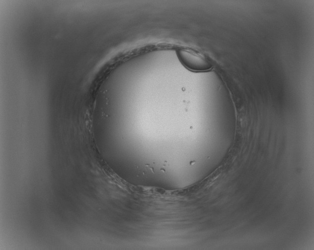 X0000067351495200604211948