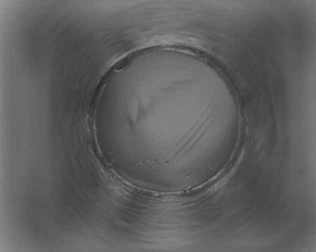 X0000067351497200604211948