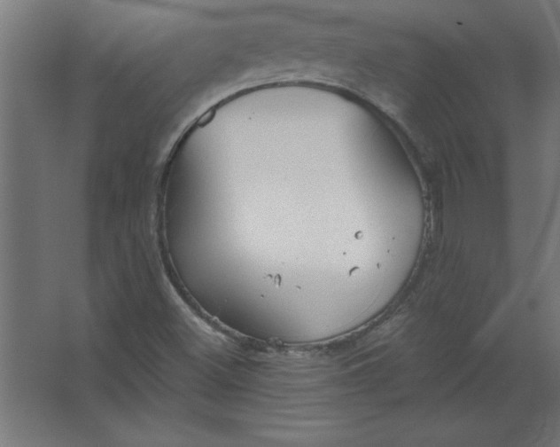 X0000067351500200604211948