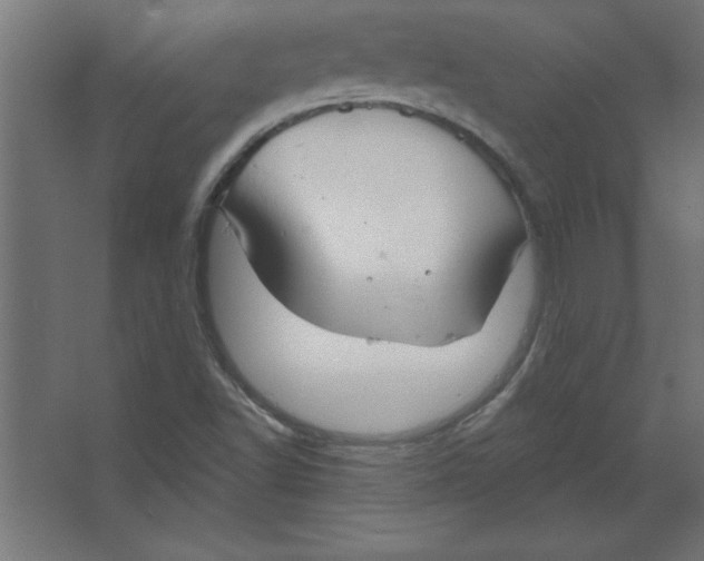 X0000067351502200604211948