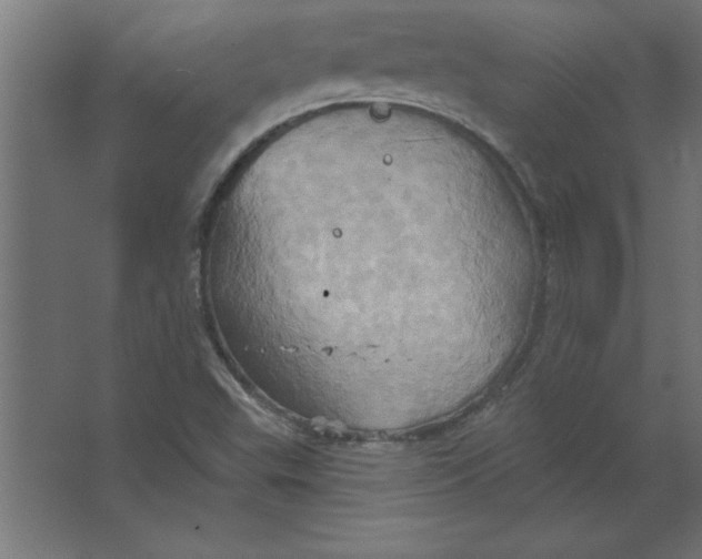 X0000067351503200604211948