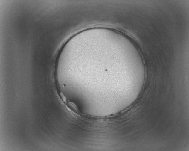 X0000067351504200604211948