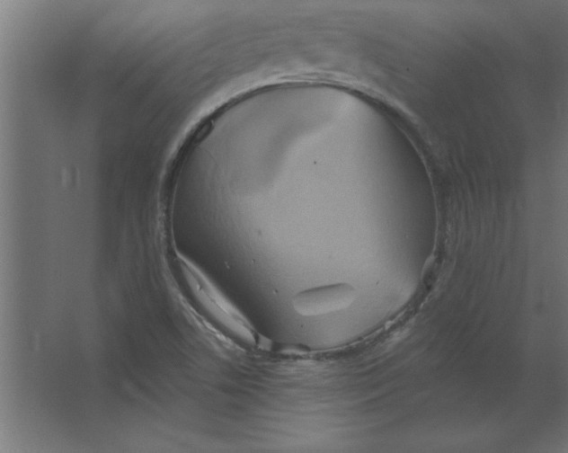 X0000067351506200604211948