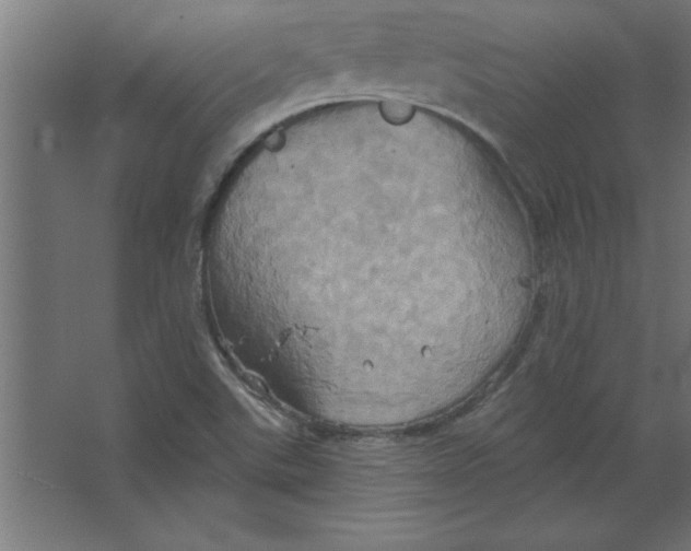 X0000067351507200604211948