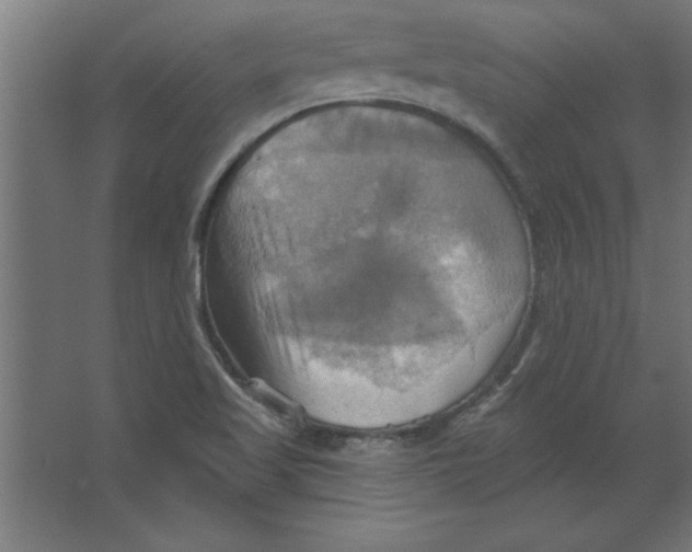 X0000067351509200604211948