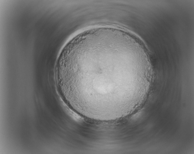 X0000067351514200604211948