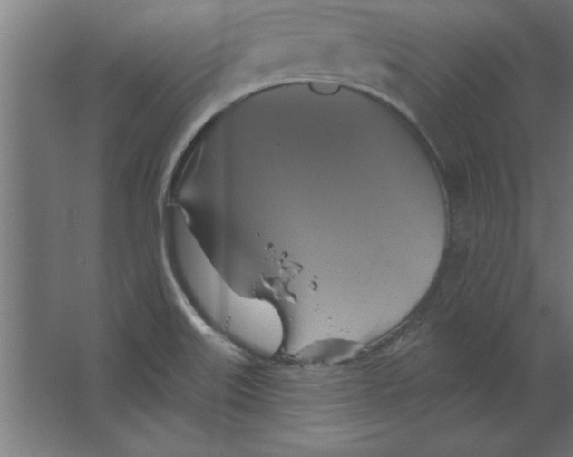 X0000067351515200604211948