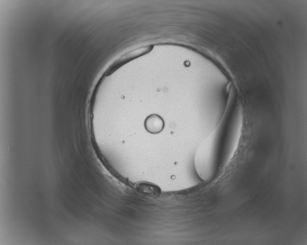 X0000067351516200604211948