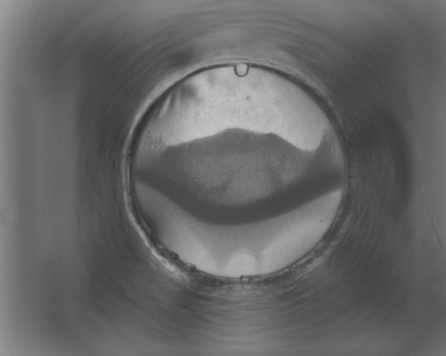 X0000067351517200604211948