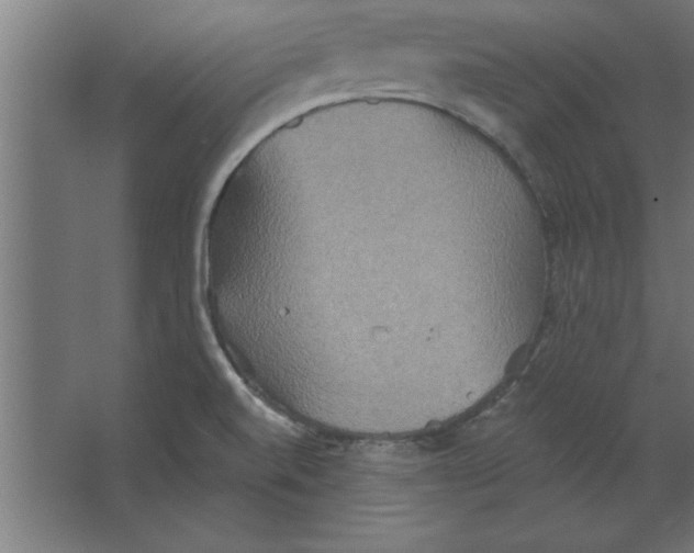 X0000067351520200604211948