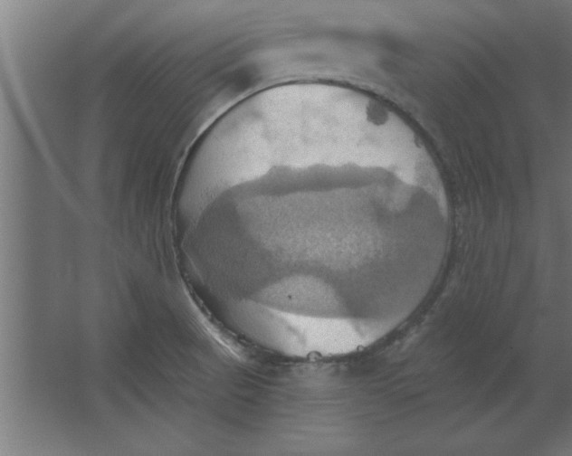 X0000067351521200604211948