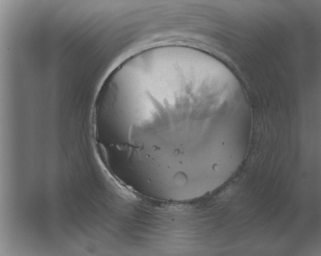 X0000067351522200604211948