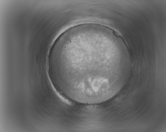 X0000067351523200604211948