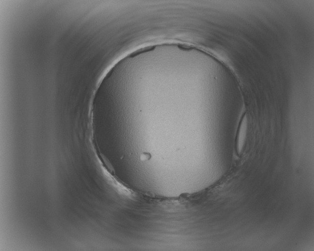 X0000067351524200604211948