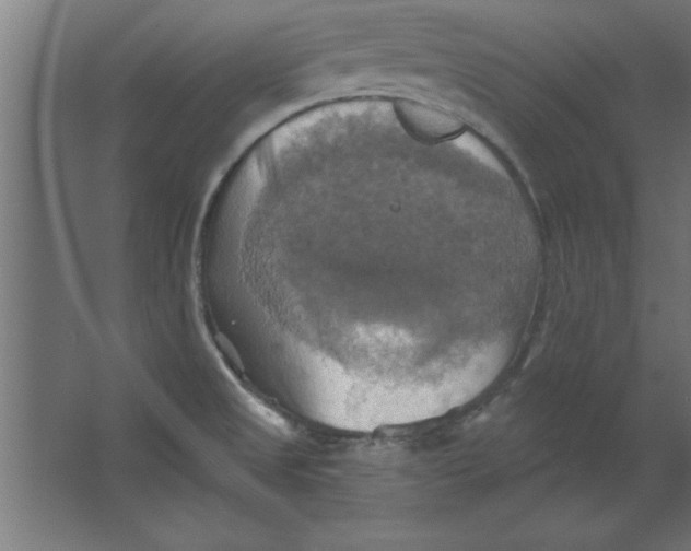 X0000067351525200604211948