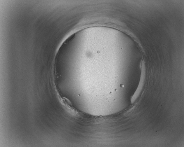 X0000067351530200604211948