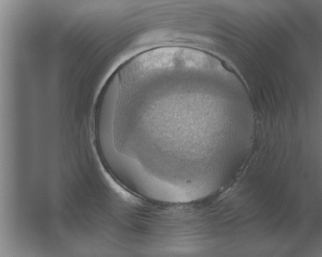 X0000067351531200604211948