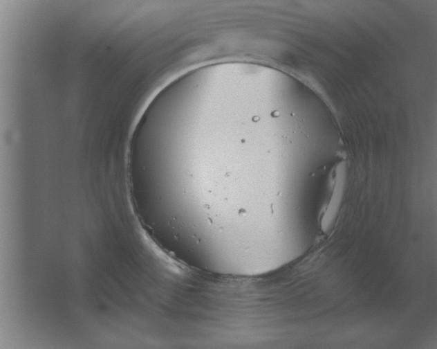 X0000067351532200604211948