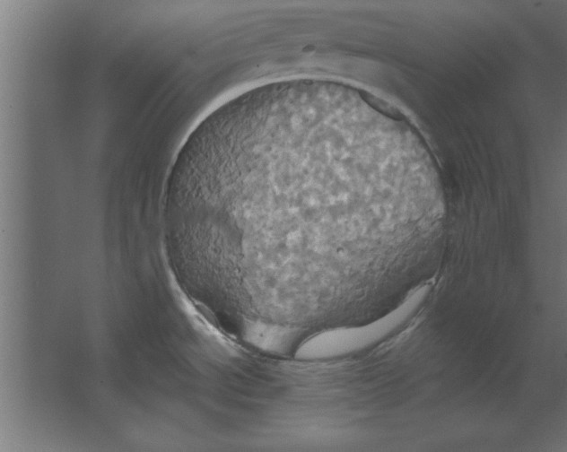 X0000067351534200604211948