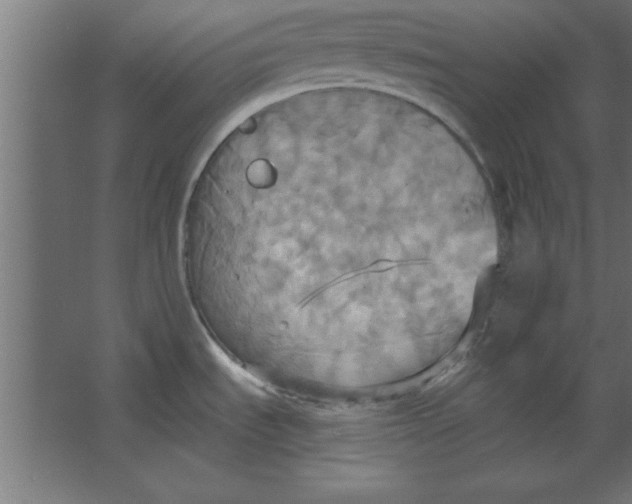 X0000067351535200604211948