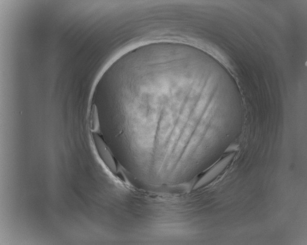 X0000067351536200604211948