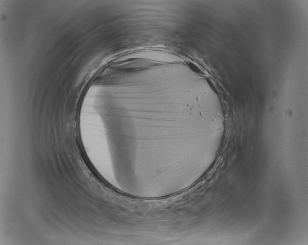 X0000067350002200604281454