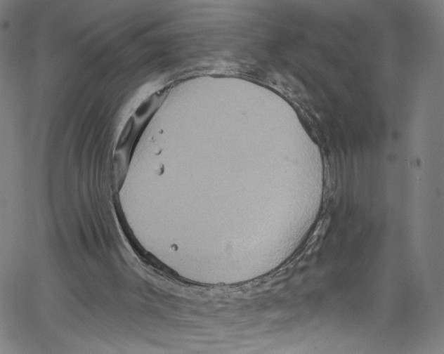 X0000067350003200604281454