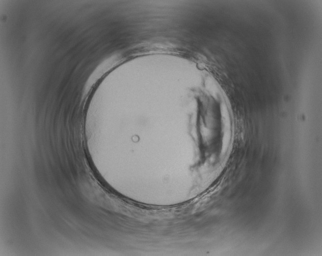 X0000067350004200604281454