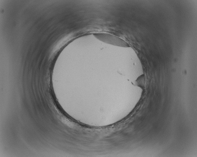 X0000067350005200604281454