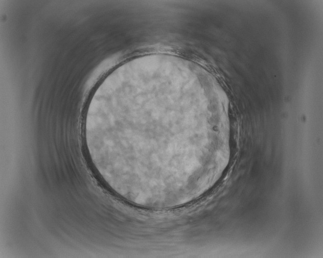 X0000067350006200604281454