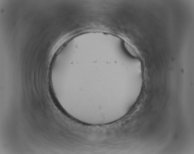 X0000067350007200604281454