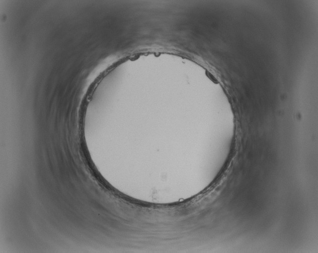 X0000067350008200604281453