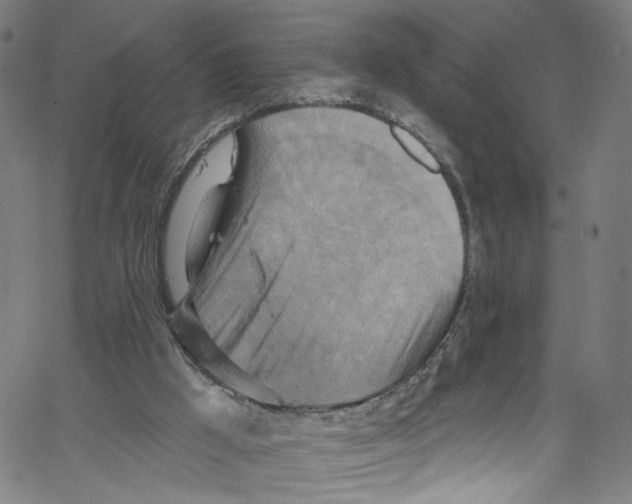 X0000067350009200604281453