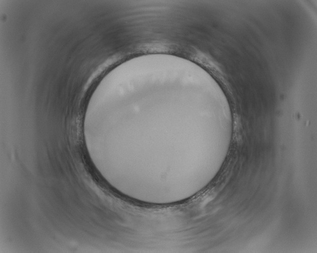 X0000067350012200604281453